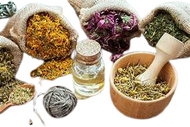 Herbal Wellness